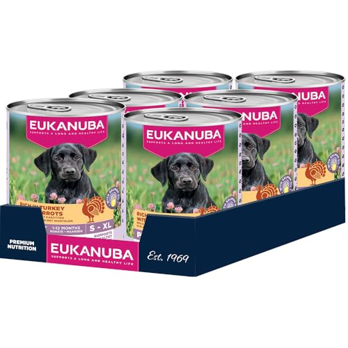 Eukanuba Welpenfutter Nass mit Pute und Karotte, Getreidefreies Premium Nassfutter für Junior Hunde, 6 x 400 g Dosen Eukanuba Welpenfutter Nass mit Pute und Karotte, Getreidefreies Premium Nassfutter für Junior Hunde, 6 x 400 g Dosen von Eukanuba