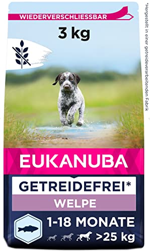 Eukanuba Welpenfutter getreidefrei mit Fisch für große Rassen - Trockenfutter ohne Getreide für Junior Hunde, 3 kg Eukanuba Welpenfutter getreidefrei mit Fisch für große Rassen - Trockenfutter ohne Getreide für Junior Hunde, 3 kg von Eukanuba