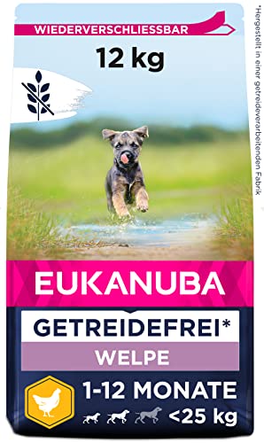Eukanuba Welpenfutter getreidefrei mit Huhn für kleine und mittelgroße Rassen - Trockenfutter ohne Getreide für Junior Hunde, 12 kg Eukanuba Welpenfutter getreidefrei mit Huhn für kleine und mittelgroße Rassen - Trockenfutter ohne Getreide für Junior Hunde, 12 kg von Eukanuba