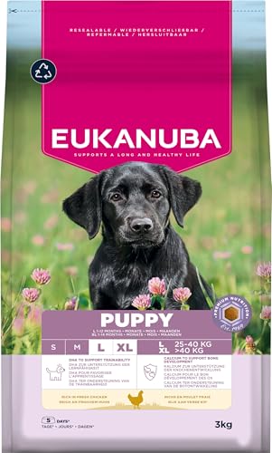 Eukanuba Welpenfutter mit frischem Huhn für große Rassen, Premium Trockenfutter für Junior Hunde, 3 kg Eukanuba Welpenfutter mit frischem Huhn für große Rassen, Premium Trockenfutter für Junior Hunde, 3 kg von Eukanuba