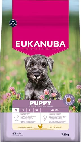 Eukanuba Welpenfutter mit frischem Huhn für kleine Rassen, Premium Trockenfutter für Junior Hunde, 7,5 kg Eukanuba Welpenfutter mit frischem Huhn für kleine Rassen, Premium Trockenfutter für Junior Hunde, 7,5 kg von Eukanuba