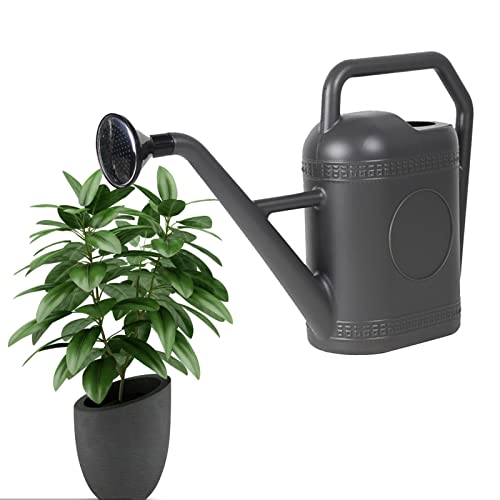 Eula Blumengießkanne - 5L Indoor Outdoor Gießkanne | Moderner Garten-Gießkessel mit langem Auslauf für Zimmerpflanzen, Gartenblumen von Eula