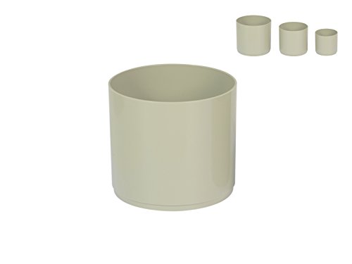 Euro 3 Plast 614211 12er Set miù cm11 Rosmarin Garten Outdoor von Euro3plast