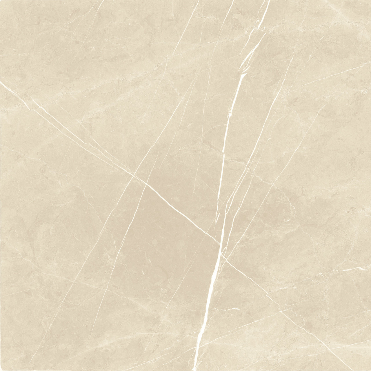 Bodenfliese Ciana 60 x 60 cm beige von Euro Stone