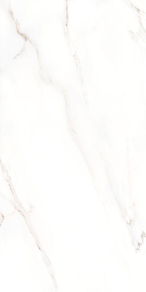 Bodenfliese Feinsteinzeug Calacatta 60 x 120 cm weiß Bodenfliese Feinsteinzeug Calacatta 60 x 120 cm weiß von Euro Stone