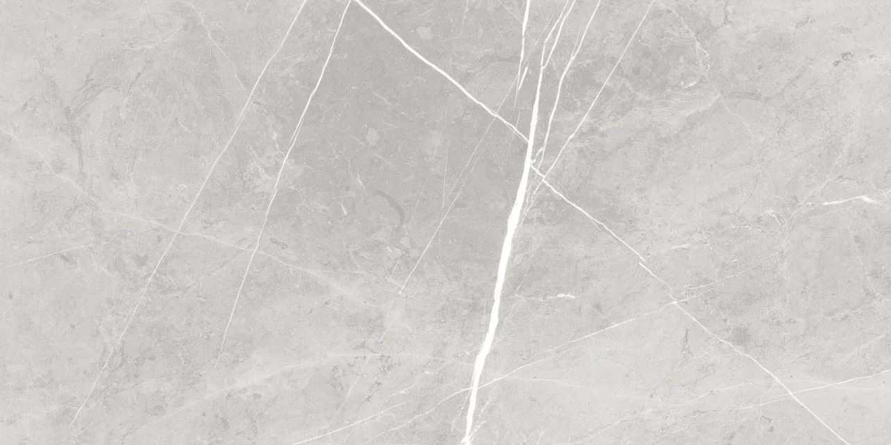 Bodenfliese Feinsteinzeug Ciana 30 x 60 cm grey von Euro Stone