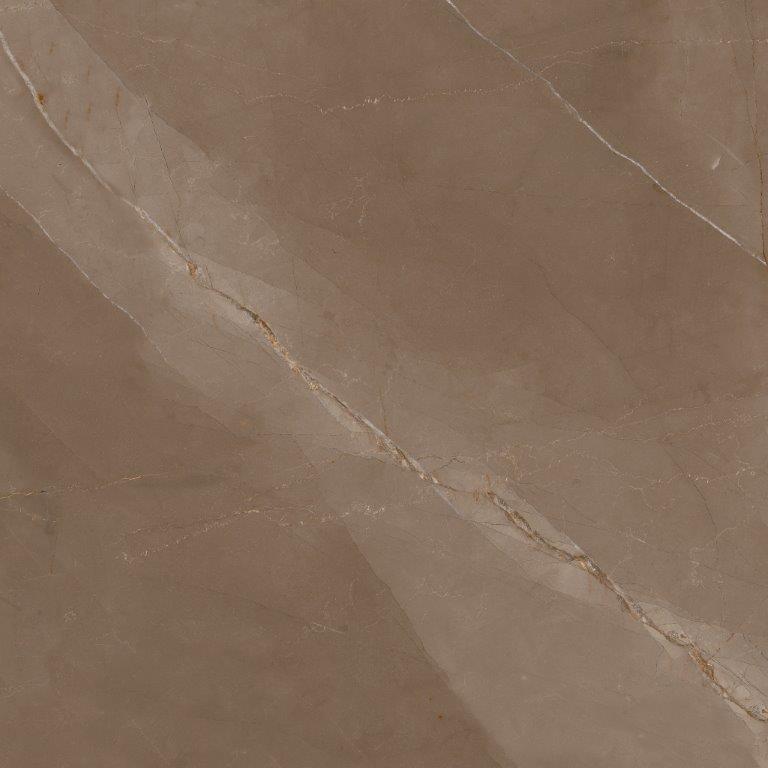 Bodenfliese Feinsteinzeug Desert 60 x 60 cm braun von Euro Stone