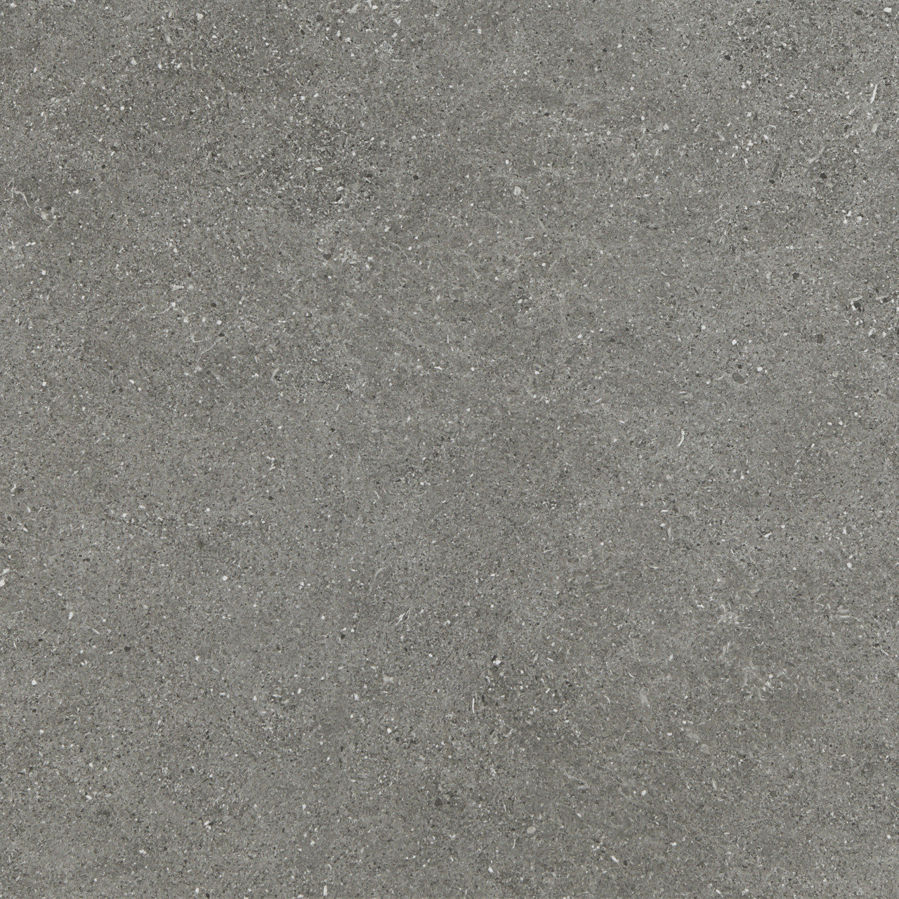 Bodenfliese Feinsteinzeug Grevelstone 60 x 60 cm grau von Euro Stone