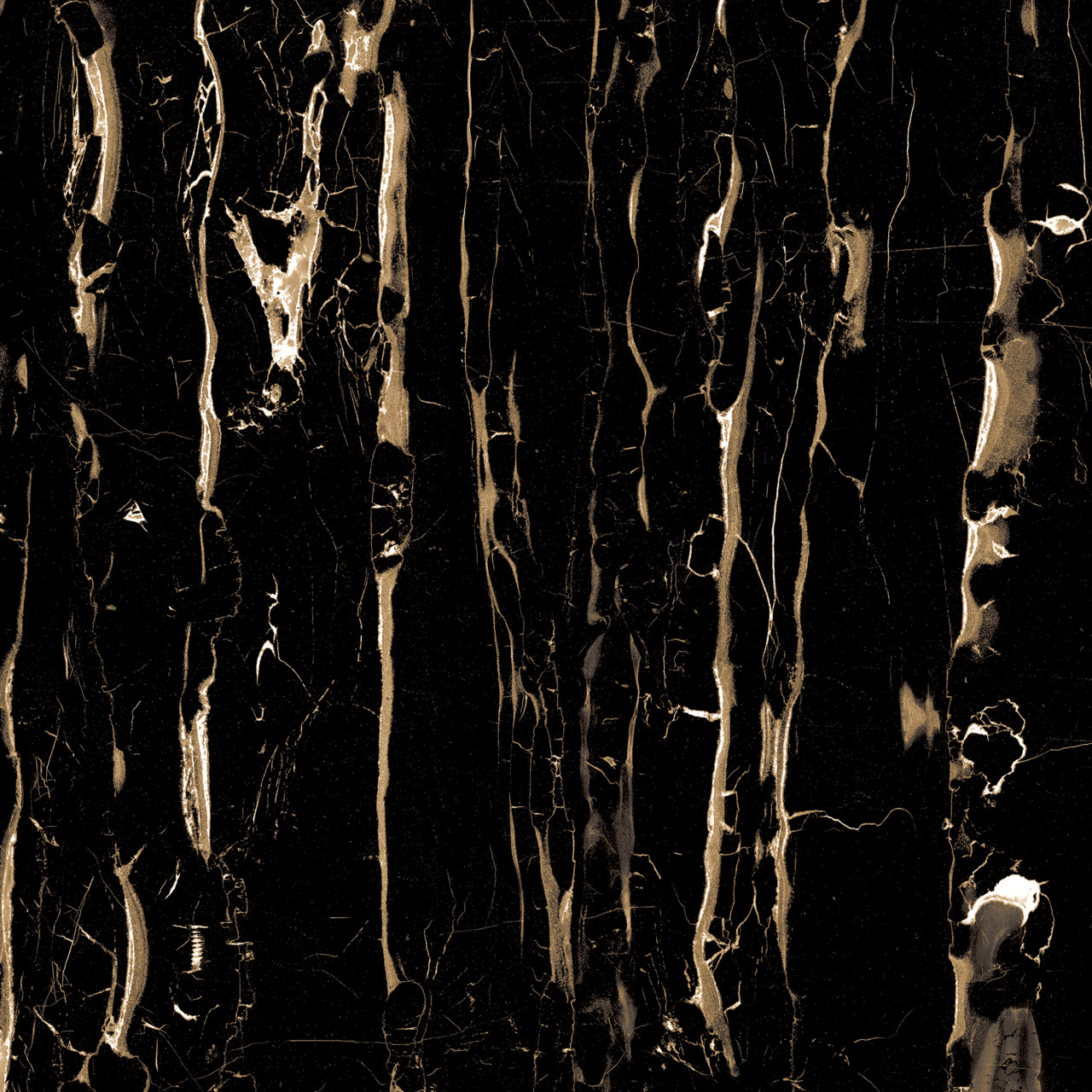 Bodenfliese Feinsteinzeug Vegas Bianco 60 x 60 cm schwarz von Euro Stone