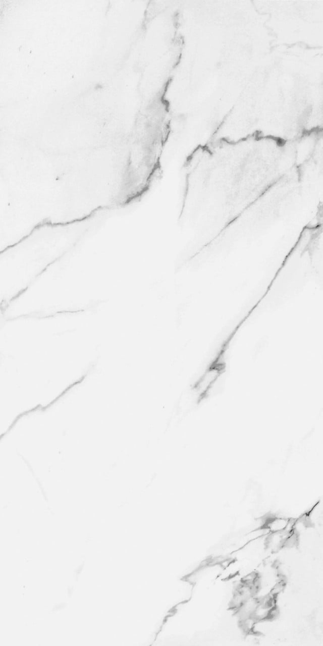 Eurostone Bodenfliese Feinsteinzeug Carrara glasiert matt 30 x 60 cm von Euro Stone