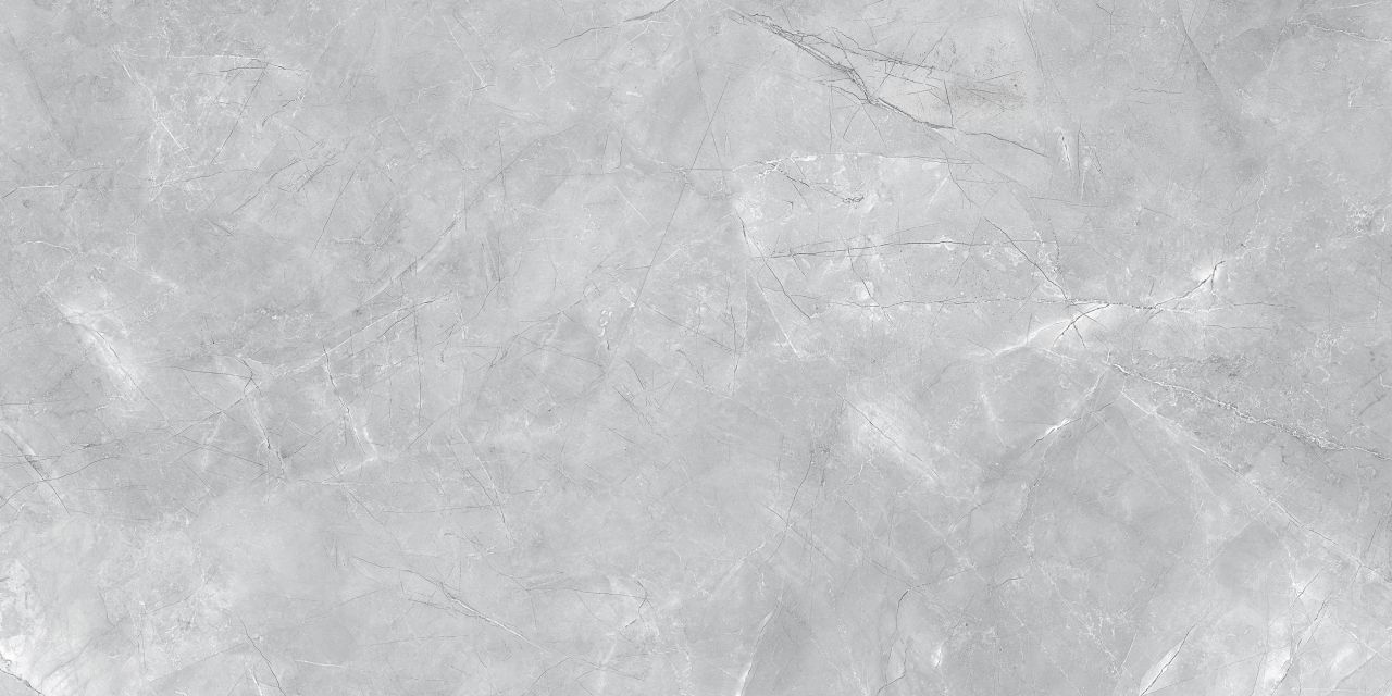 Bodenfliese Feinsteinzeug Messina 60 x 120 cm grau von Euro Stone
