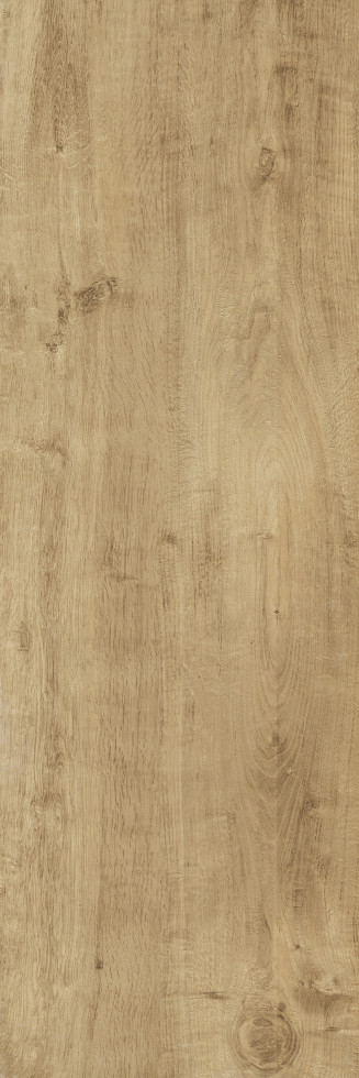 Terrassenplatte Feinsteinzeug TimberTwo 40 x 120 x 2 cm braun von Euro Stone
