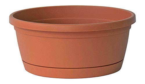 Euro 3 Plast Pflanzschale Libis inkl. Untersetzer, Terra, Ø 25 x H 11 cm von Euro3plast