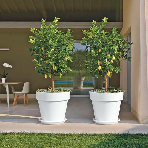 Euro3plast MITU Blumentopf mit Untersetzer in rund aus Kunststoff in der Farbe Weiß für den Innen- und Außenbereich, 7 Größen zur Wahl (60 cm) von Euro3plast