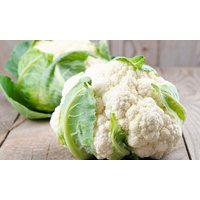 Blumenkohl/Bora 1G - 150 Samen Brassica Oleracea Con. Botrytis Gentechnikfrei von EuroGardenStore