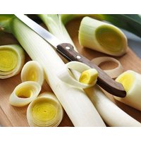 Lauch/Blauwgroene Winter 1G 100 Samen - Allium Porrum Gmo Frei von EuroGardenStore