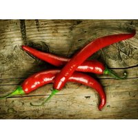 Peperoni/De Cayenne Chili Art Pfeffer 0, 5G 50 Samen - Capsicum Annum Gmo Frei von EuroGardenStore