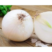 Zwiebel Avalon 3G/400 Samen - Allium Cepa Gmo Frei von EuroGardenStore