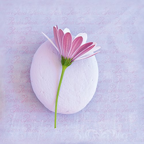 Eurographics, H-K-BA3135 Keilrahmen Sweet Flower, 20 x 20 cm von EuroGraphics