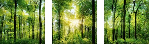 Eurographics Aufkleber, Plastik, Sunshine Sticker, Green, 30 x 30 cm, 30 x 0.4 x 30 cm von EuroGraphics