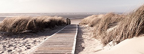 Eurographics DG-DT5084 Decorative Glass Picture 30 x 80 cm Morning Walk von EuroGraphics