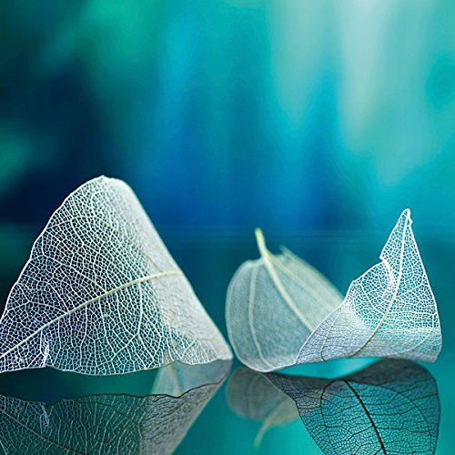 Eurographics White Leaves 30x30, Glas, Blau, 30 x 30 x 2 cm von EuroGraphics