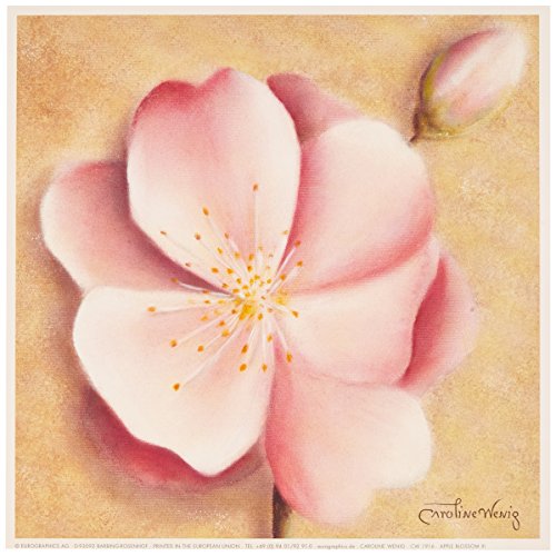 Eurographics CW1916 Hochwertiger Kunstdruck, Caroline Wenig, Apfelblüte III 18 x 18 cm von EuroGraphics