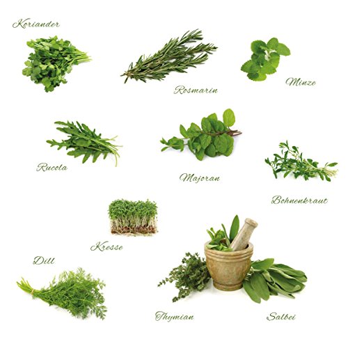 Eurographics Different Herbs 50x70 DecoSticker, Sticker, grün, 70x50x0.4 cm von EuroGraphics