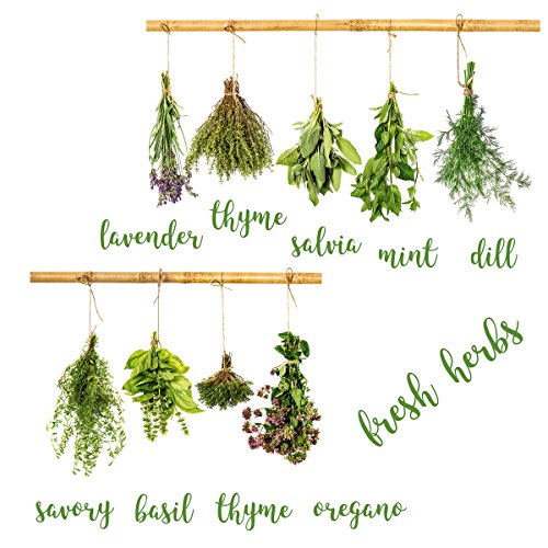 Eurographics Herb Collection 25x35 Wandsticker, Papier, grün, 35 x 25 x 0.4 cm von EuroGraphics