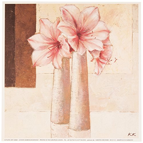 Eurographics KK2112 Hochwertiger Kunstdruck, Karsten Kirchner, Amaryllis In Harmony 18 x 18 cm von EuroGraphics