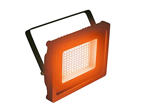 EUROLITE LED IP FL-50 SMD orange | Flacher Outdoor-Scheinwerfer (IP65) mit farbigen LEDs von Eurolite