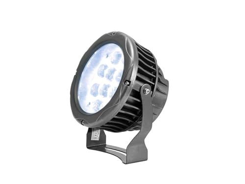 EUROLITE LED IP PST-36W 6400K Pinspot | Wetterfester Pinspot (IP65) mit 12 kräftigen 3-W-LEDs in kaltweiß (CW) von Eurolite