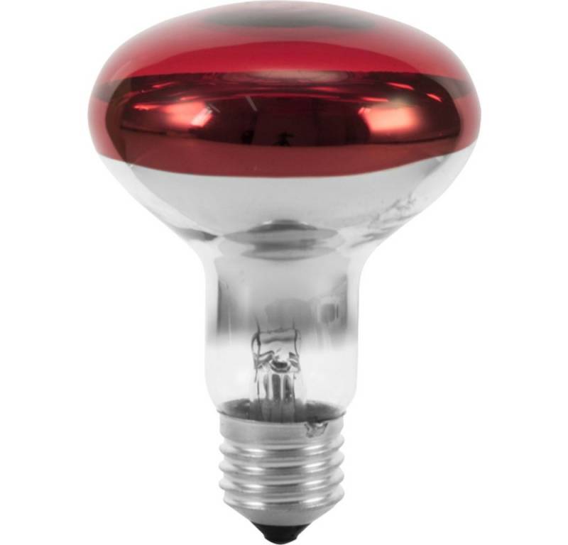 EUROLITE LED-Leuchtmittel Eurolite 9210360U Halogen E27 Reflektor 60 W Rot 1 St. von Eurolite
