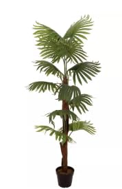 EUROPALMS Handfan, künstliche Pflanze, 155 cm von Eurolite