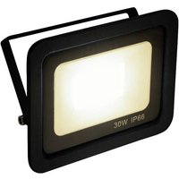 Eurolite FL-30 51915020 Außenstrahler EEK: F (A - G) 30W Warmweiß von Eurolite