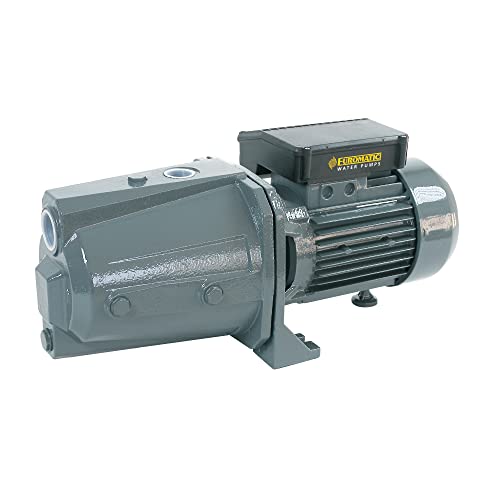 Euromatic® Elektropumpe Selbstansaugende Jet PGC 1500V 230Hz 50 von Euromatic