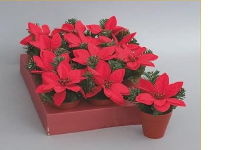 Euronatale Weihnachtsstern 14 cm im Blick. CEN-86563, Siehe Foto, Einheitsgröße Euronatale Weihnachtsstern 14 cm im Blick. CEN-86563, Siehe Foto, Einheitsgröße von Euronatale