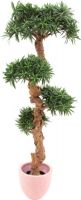 EUROPALMS Bonsai-Palmenbaum, 180cm von Europalms