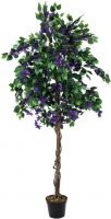 EUROPALMS Bougainvillea, lavendel, 180cm von Europalms