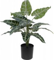 EUROPALMS Caladium, Kunstpflanze, 38cm von Europalms