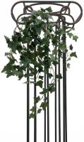 EUROPALMS Efeubuschranke Classic, 60cm von Europalms