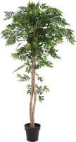 EUROPALMS Ficus Longifolia, Kunstpflanze, 165cm von Europalms