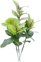 EUROPALMS Gummibaum, 100cm von Europalms