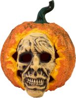 EUROPALMS Halloween Totenkopf-Kürbis, 26cm von Europalms