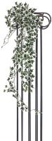 EUROPALMS Holland-Efeubuschranke Classic, 100cm von Europalms