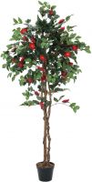 EUROPALMS Kamelienbaum rot mit Topf 180cm von Europalms