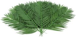 EUROPALMS Kokos-Palmwedel 90cm 12x von Europalms
