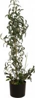 EUROPALMS Olivenbäumchen, Kunstpflanze, 104 cm von Europalms