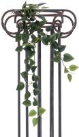 EUROPALMS Philodendronbusch Classic, 70cm von Europalms