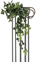 EUROPALMS Pothosbuschranke Classic, 100cm von Europalms